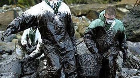 Voluntarios limpiando el fuel del Prestige