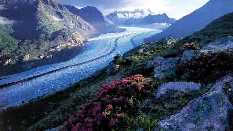Vista del glaciar Aletsch en Suiza