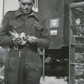 Un soldado envía un mensaje a través de una paloma