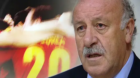 El seleccionador nacional, Vicente del Bosque El seleccionador nacional, Vicente del Bosque