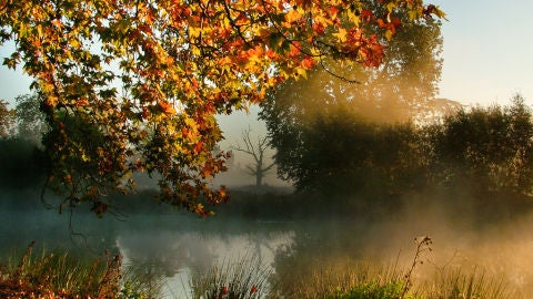 Una tarde de oto&ntilde;o