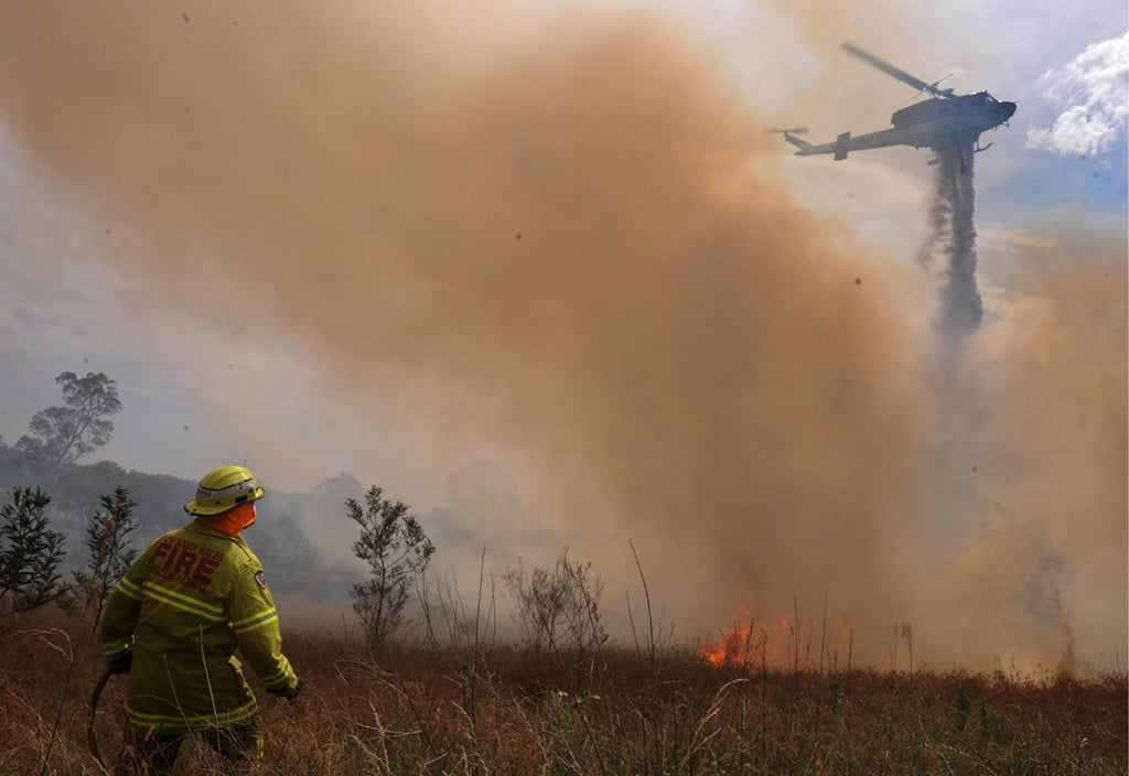 Un muerto y más de mil evacuados en un incendio que se extiende por casi 2.000 hectáreas en Nueva Zelanda Un muerto y más de mil evacuados en un incendio que se extiende por casi 2.000 hectáreas en Nueva Zelanda