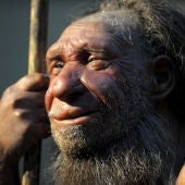 Crear ADN Neanderthal podría ser posible