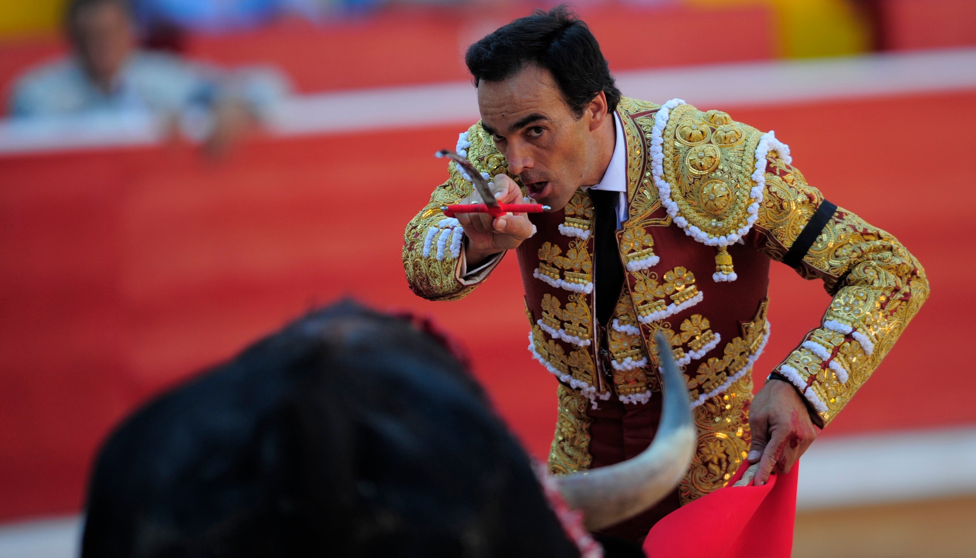 Toros con Pedro Javier Cáceres: “El Cid firma una de las faenas de la temporada en Madrid” Toros con Pedro Javier Cáceres: “El Cid firma una de las faenas de la temporada en Madrid”