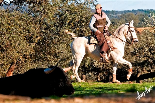 Aquí en la Onda Navarra 05/12 - Va por Ustedes: Miguel Frías, mayoral de la ganadería Concha y Sierra: "Para ser mayoral tienes que ser muy curioso y muy observador" Aquí en la Onda Navarra 05/12 - Va por Ustedes: Miguel Frías, mayoral de la ganadería Concha y Sierra: "Para ser mayoral tienes que ser muy curioso y muy observador"