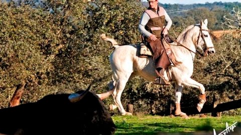 Miguel Fr&iacute;as Murciano