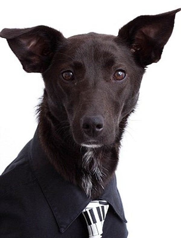 Microrrelato: 'El camino a Montenegro' Microrrelato: 'El camino a Montenegro'