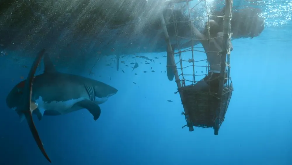 Kon Tiki Kon Tiki