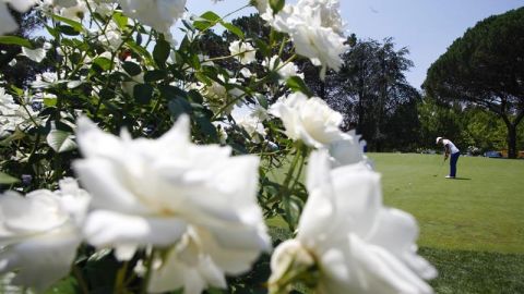 Golf entre flores (12-02-2013)
