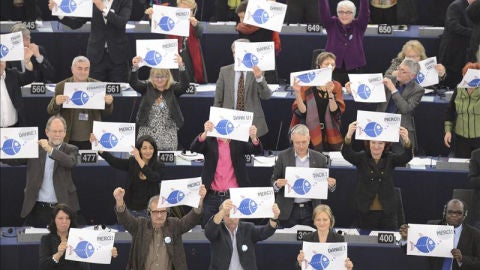La Euroc&aacute;mara pide una reforma que proteja los mares