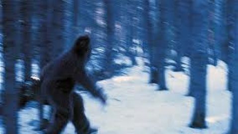 Una de las im&aacute;genes que circulan en la red sobre posibles 'Yeti'