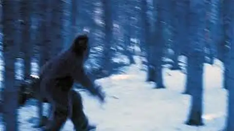 Una de las imágenes que circulan en la red sobre posibles 'Yeti' Una de las imágenes que circulan en la red sobre posibles 'Yeti'