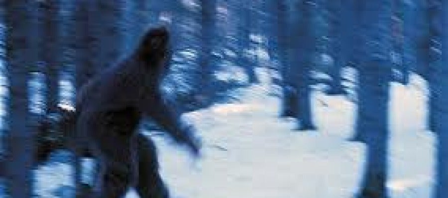 Posible imagen de un Yeti Posible imagen de un Yeti