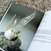 La ginebra en la gastronomía del siglo XXI La ginebra en la gastronomía del siglo XXI