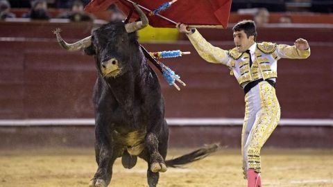 El diestro Javier Casta&ntilde;o.