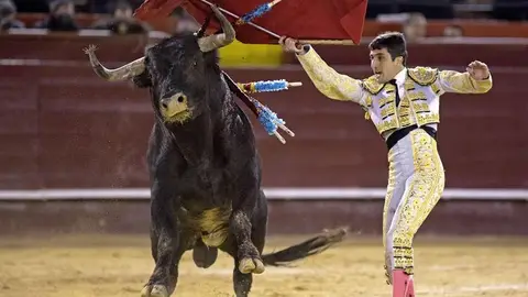 El diestro Javier Castaño. El diestro Javier Castaño.