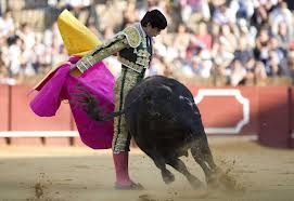 Aquí en la Onda Navarra 19/03. Miguel Ángel Perera en Va por Ustedes: "Hoy la forma física es importantísima, te da más valor y un plus de confianza para pasar límites en la Plaza." Aquí en la Onda Navarra 19/03. Miguel Ángel Perera en Va por Ustedes: "Hoy la forma física es importantísima, te da más valor y un plus de confianza para pasar límites en la Plaza."