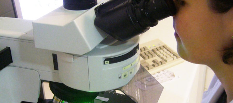 Una investigadora visualiza una muestra en el microscopio. Una investigadora visualiza una muestra en el microscopio.