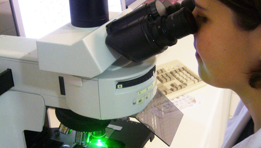 Una investigadora visualiza una muestra en el microscopio.