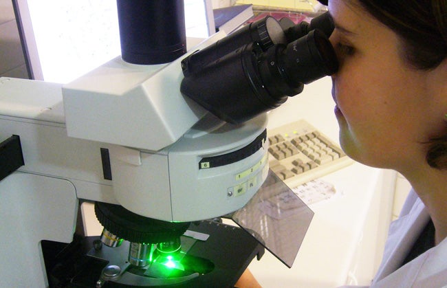 Descubrimos la técnica CRISPR con Francis Mojica Descubrimos la técnica CRISPR con Francis Mojica