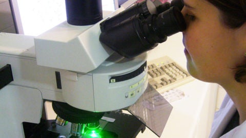 Una investigadora visualiza una muestra en el microscopio.
