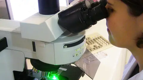 Una investigadora visualiza una muestra en el microscopio. Una investigadora visualiza una muestra en el microscopio.