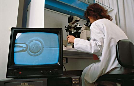 Podemos propone la creación de un banco público de semen y óvulos en Murcia Podemos propone la creación de un banco público de semen y óvulos en Murcia