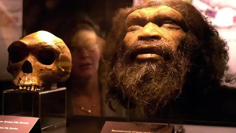 Reconstrucción de una cabeza de Homo rhodesiensis Reconstrucción de una cabeza de Homo rhodesiensis