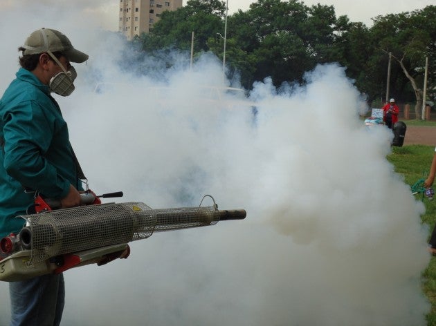 <p>Ilicitanos por Elche y Cs urgen al tripartito fumigar en las pedanías contra los mosquitos </p> <p>Ilicitanos por Elche y Cs urgen al tripartito fumigar en las pedanías contra los mosquitos </p>