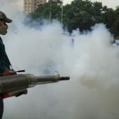La fumigación es fundamental para combatir los mosquitos que transmiten el dengue 
