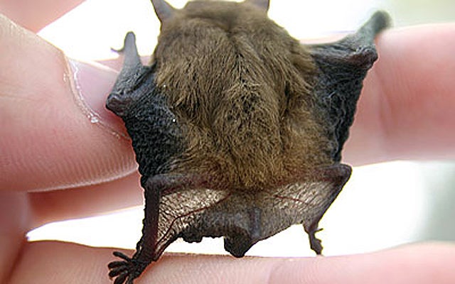 Más de uno Alcalá 04/04/2018 Más de uno Alcalá 04/04/2018