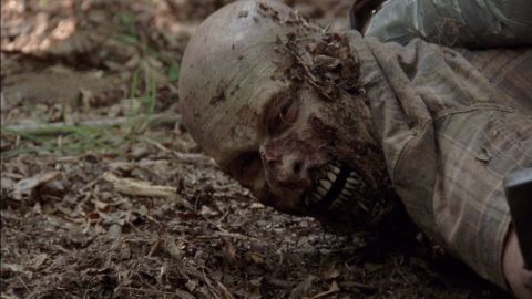 La lucha con los zombies contin&uacute;a
