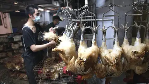 Un empleado cuelga pollos en garfios en un matadero del mercado de Huannan, en Taipei Un empleado cuelga pollos en garfios en un matadero del mercado de Huannan, en Taipei
