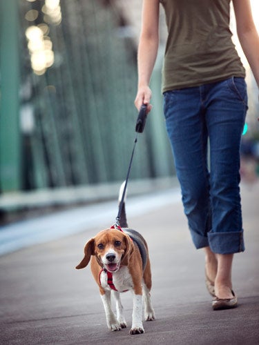 Perros no bienvenidos: "Tú puedes entrar pero tu perro a la calle" Perros no bienvenidos: "Tú puedes entrar pero tu perro a la calle"