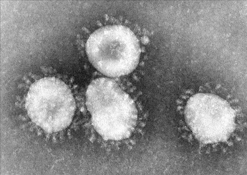El coronavirus genera una alarma exagerada: "La gripe es más mortífera" El coronavirus genera una alarma exagerada: "La gripe es más mortífera"
