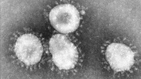 &iquest;C&oacute;mo prevenir el coronavirus y c&oacute;mo se trasmite?
