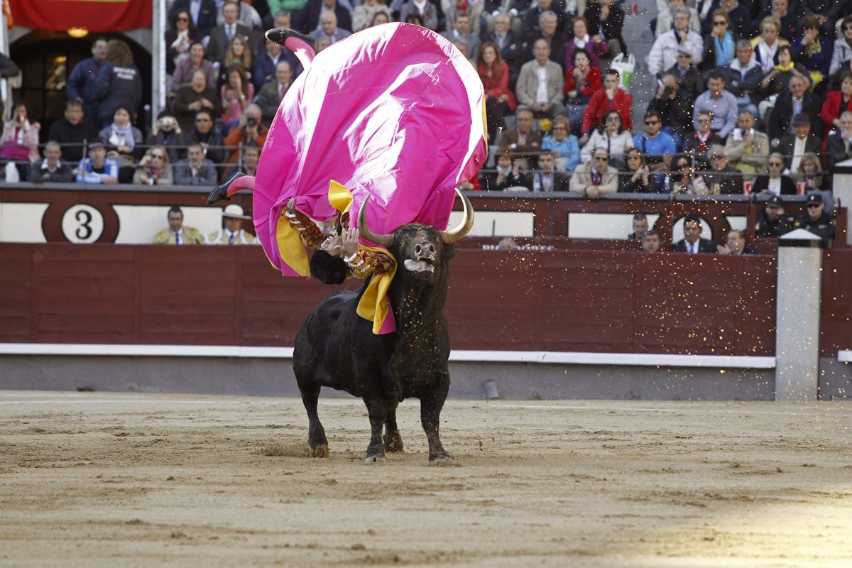 Toros con Pedro Javier Cáceres: 'David Mora sale reforzado de Madrid' Toros con Pedro Javier Cáceres: 'David Mora sale reforzado de Madrid'