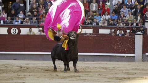 Eduardo Gallo en la Feria de San Isidro 2013