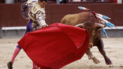 Manzanares