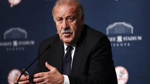 Vicente del Bosque habla en rueda de prensa tras el partido ante Irlanda. Vicente del Bosque habla en rueda de prensa tras el partido ante Irlanda.