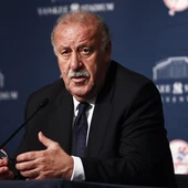 Vicente del Bosque habla en rueda de prensa tras el partido ante Irlanda. Vicente del Bosque habla en rueda de prensa tras el partido ante Irlanda.