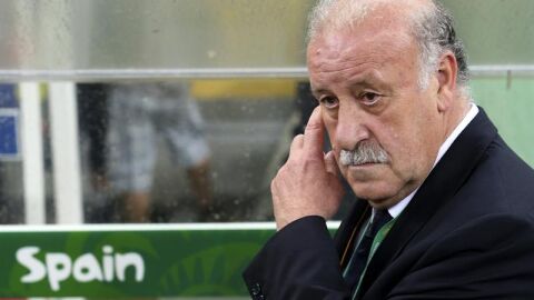 El seleccionador espa&ntilde;ol, Vicente del Bosque