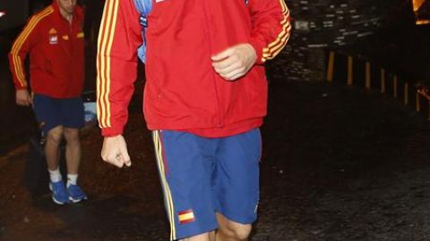 Fernando Torres