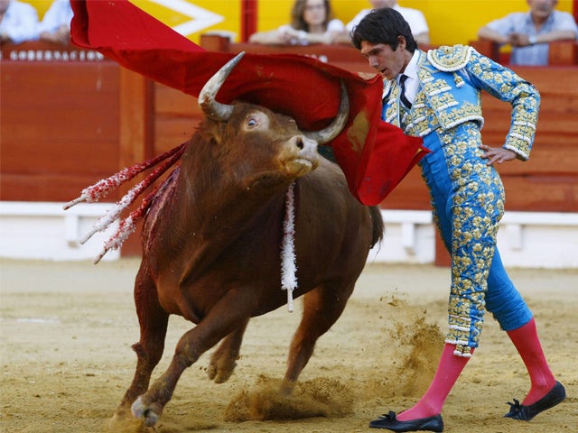 Toros con Pedro Javier Cáceres: "Puerta Grande de Perera en Cuenca" Toros con Pedro Javier Cáceres: "Puerta Grande de Perera en Cuenca"