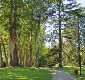 gijon botanico gijon botanico