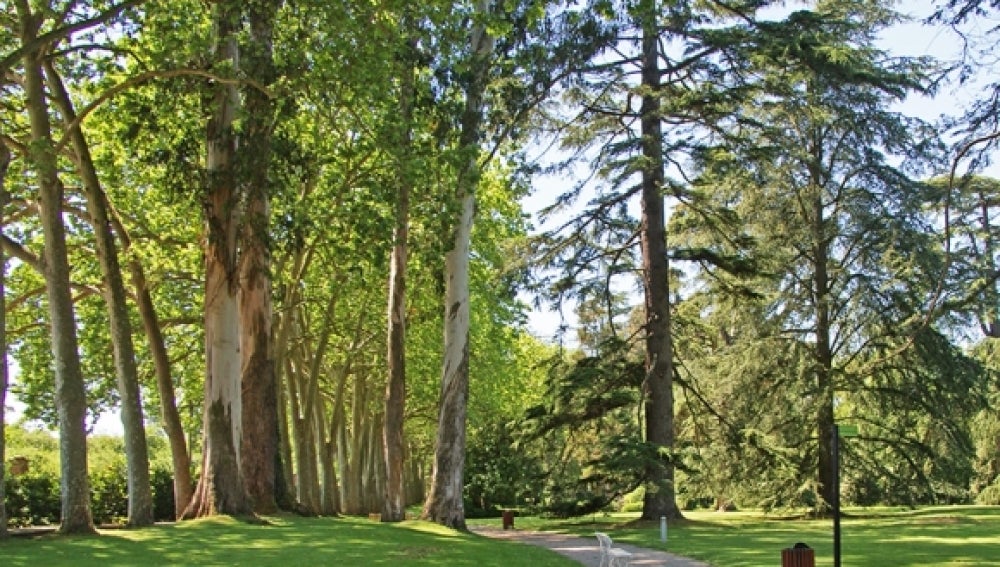 gijon botanico