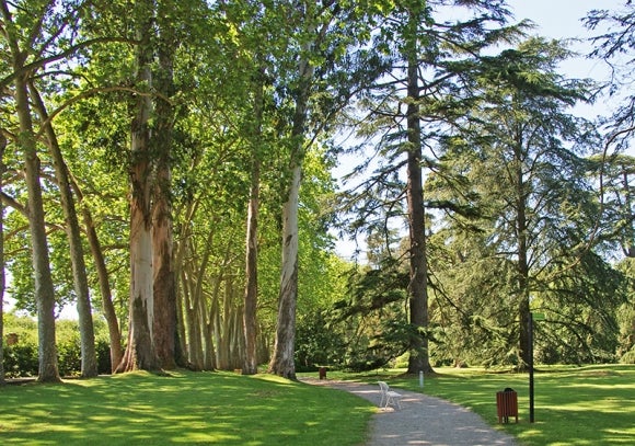 Más de Uno Gijón 01/02/2021 Más de Uno Gijón 01/02/2021