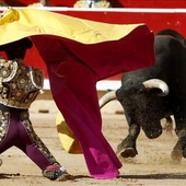 El torero sevillano Manuel Escribano recibe a porta gayola a su primer toro El torero sevillano Manuel Escribano recibe a porta gayola a su primer toro