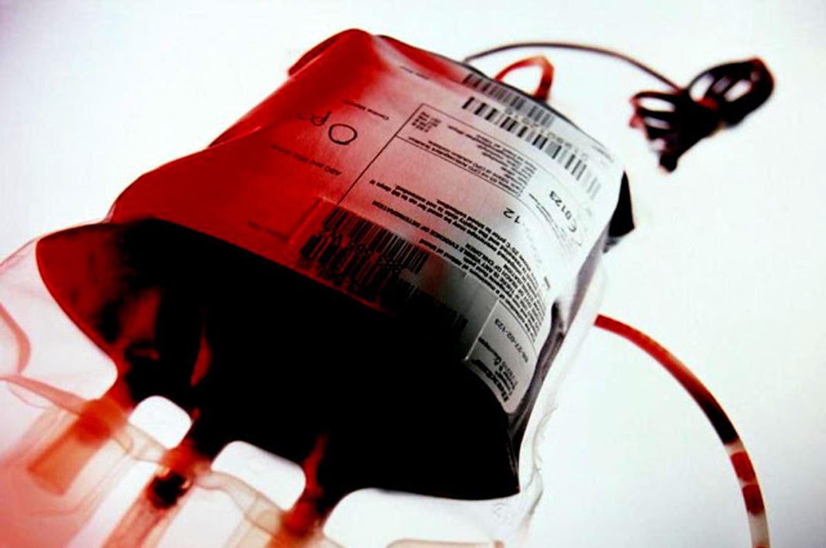 La Hermandad de Donantes de Sangre alerta sobre la falta de renovación generacional en las donaciones La Hermandad de Donantes de Sangre alerta sobre la falta de renovación generacional en las donaciones