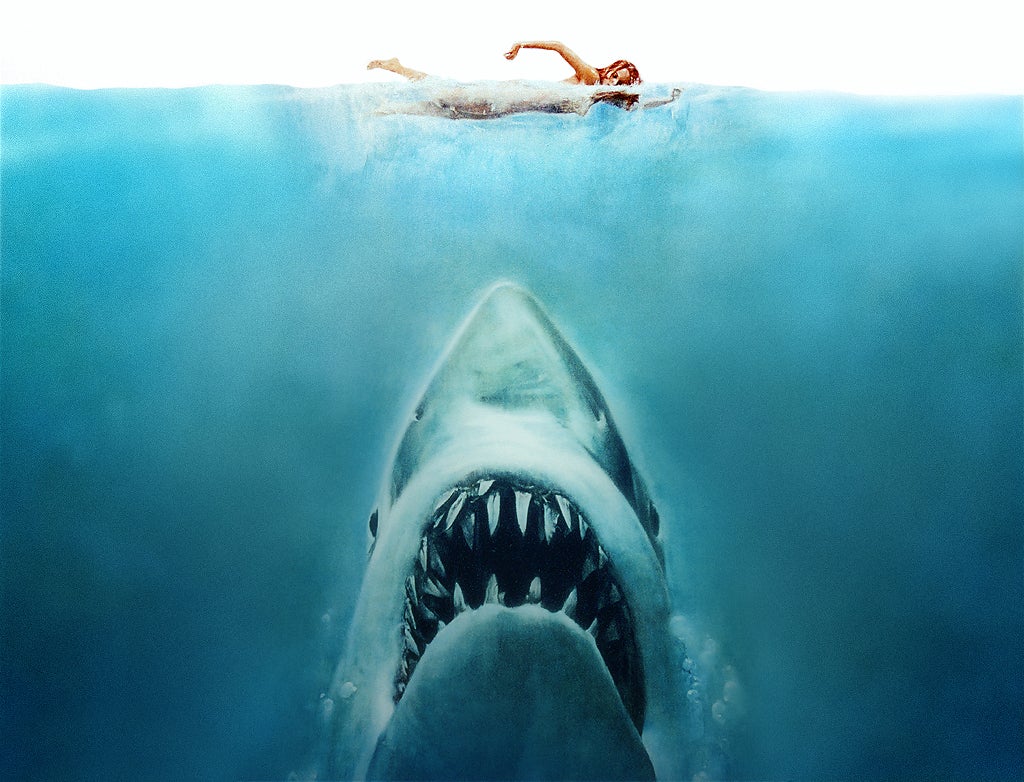 El hombre que susurraba a los tiburones El hombre que susurraba a los tiburones